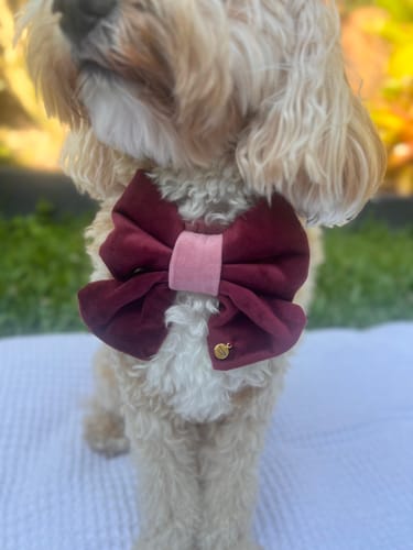 Customer photo review of Velvet Rouge
