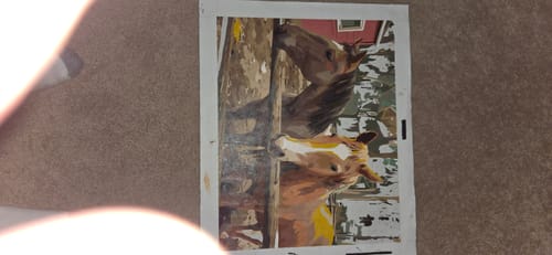 Customer photo review of Custom Paint By Numbers Kit