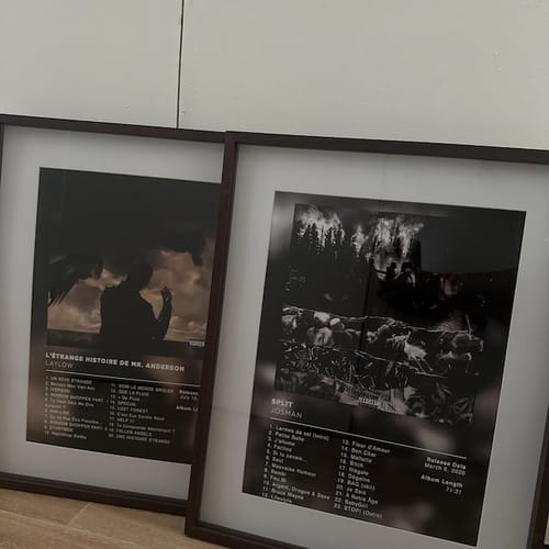 Customer photo review of L'étrange histoire de Mr Anderson Laylow Poster