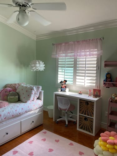 Customer photo review of Winter Shamrock DE 5617