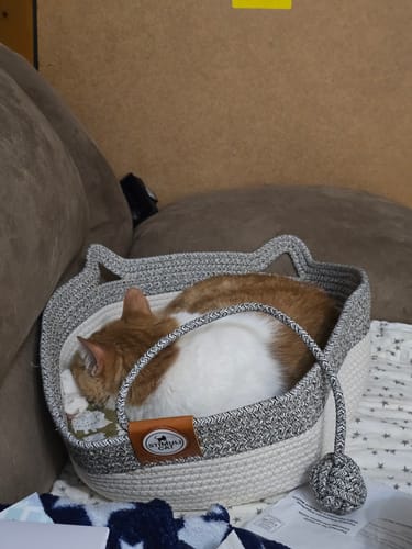 Customer photo review of Instinct Basket | Meet the first research-backed natural territory for indoor cats