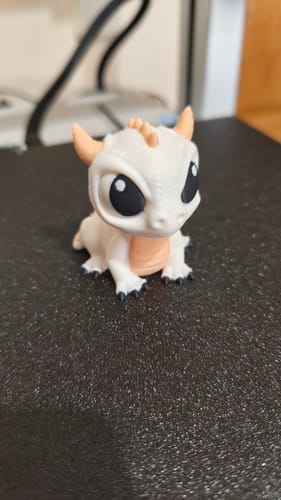 Customer photo review of Anycubic Kobra X