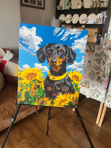 Customer photo review of Sunflower Dachshund