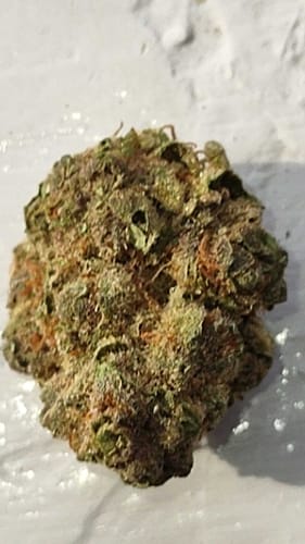 Customer photo review of Black Ice THCA Flower Ounce (28g)