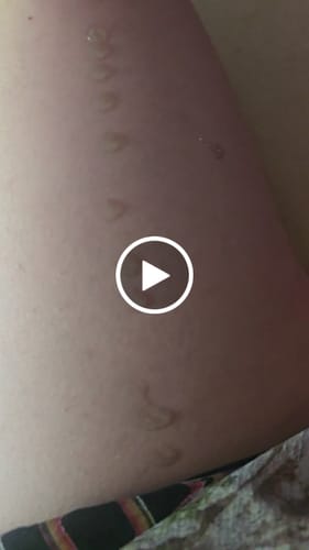 Customer video review of Fated & Fierce Bundle