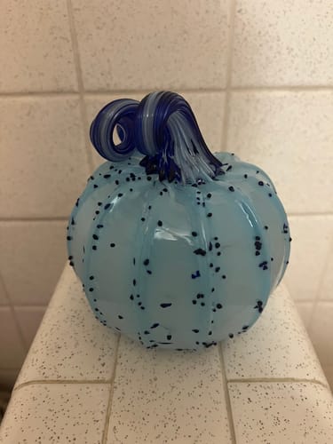 Customer photo review of Daily Pumpkin 3862 Squat