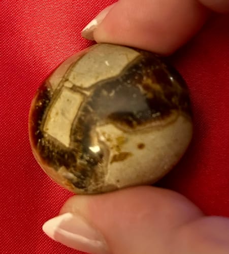 Customer holding a round Septarian palm stone with brown and beige patterns against a red background.