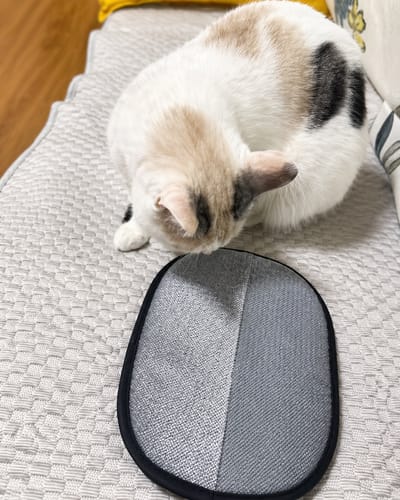 Customer photo review of PetSweep™ Glove