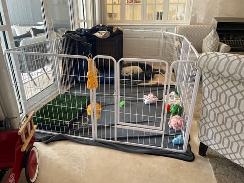 Reviewer's white 8-panel dog playpen set up in a living room, connected to a crate with a puppy sleeping inside.