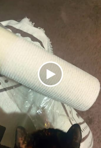 Customer video review of Multifunctional Cat Scratching Carpet