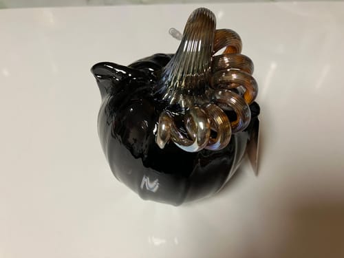 Customer photo review of Black Cat-kin Pumpkin