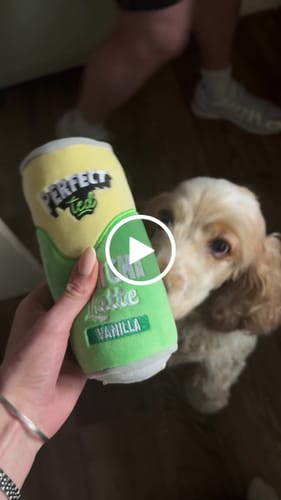 Customer video review of PerfectTed x By Teddy | Vanilla Matcha Latte Plush Toy