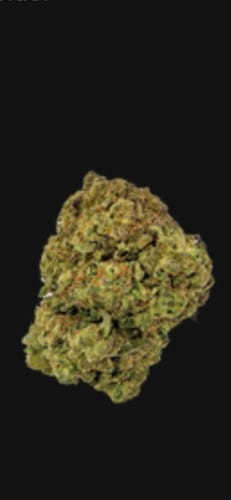 Customer photo review of Headband