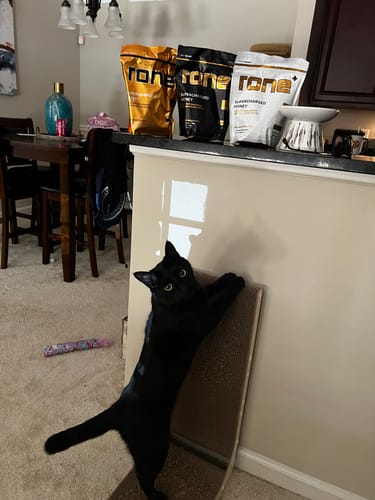 Customer photo review of 100mg Caffeine - Classic - SuperCharged Honey (20-Pack)