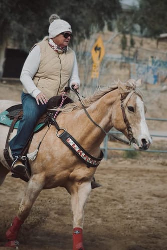 Customer photo review of OptiWize Collagen +Plus Horse Joint Supplement