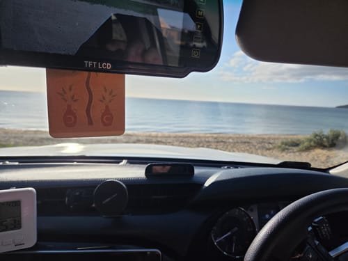 Customer photo review of Palms + Pots ft. Roam Slow Studio Air Freshener - Ubud