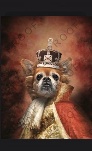 Customer photo review of The King - Custom Vintage Pet Portrait