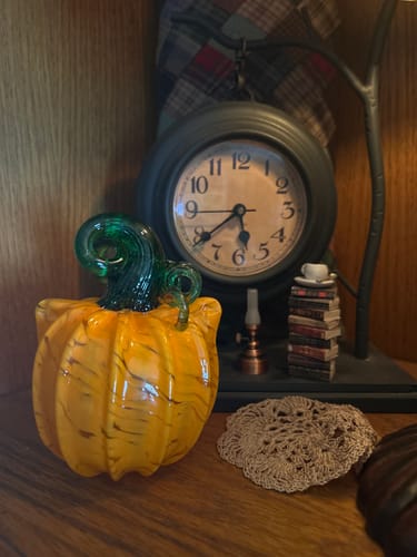 Customer photo review of Orange Cat-kin Pumpkin
