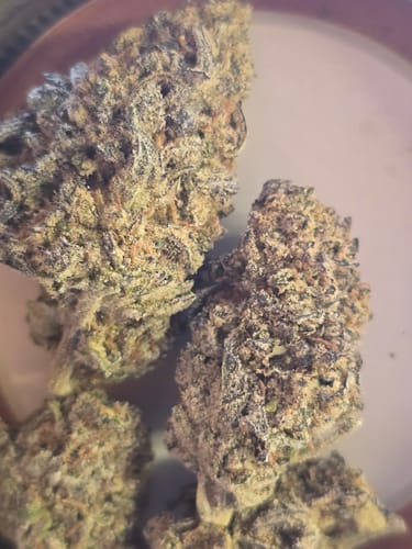 Customer photo review of Light Assist THCA Flower