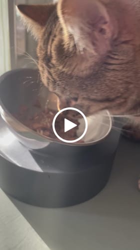 Avis vidéo d'un client sur Pâtée Chat Stérilisé Sans Céréales - Poulet, Tomates & Olives