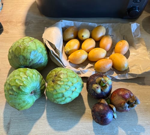Rezensent zeigt die erhaltenen Marian Pflaumen, die auf einem Tisch mit anderen tropischen Früchten liegen.
