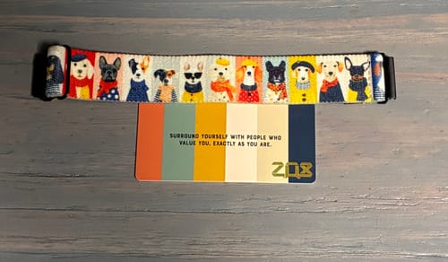 Customer's The Fun Ones Watchband+ with colorful dog illustrations laid flat on a wooden surface.