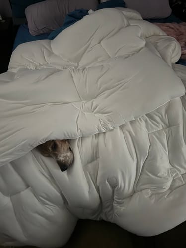 Customer photo review of Mellow Cooling Pillowcases (2-Pack)