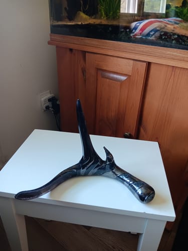 Reviewer's artistic onyx Deer Antler with Cremation Ash displayed on a white table in a home setting.