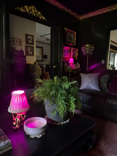 Customer photo review of Audrey Dusty Rose and Cream Lamp Shade & Beau Base - Table Lamp