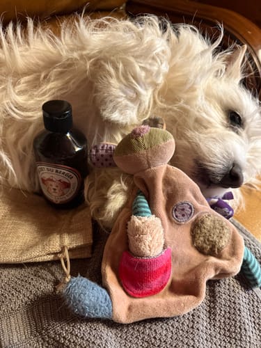 Customer photo review of Shampoing Sans Rinçage - Apaisant pour chien 🏔️