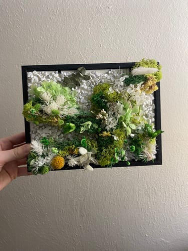 Customer holding their finished moss and botanical art from the craft subscription box, displayed in a black frame.