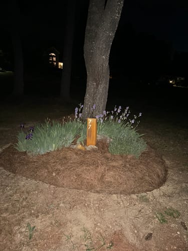 Customer photo review of Address Column