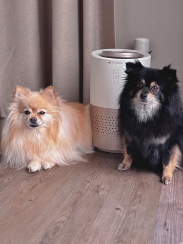 Customer photo review of Pet Air Purifier