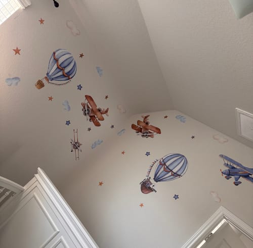 Customer photo review of Airplanes