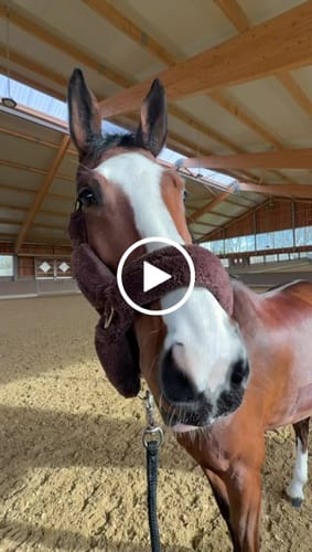 Customer video review of Strotonin Nerve Support
