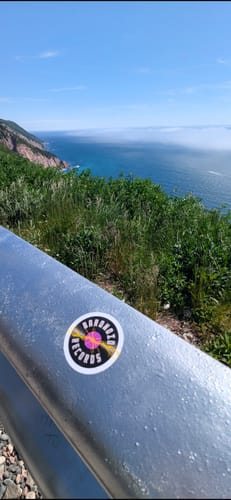 Customer photo review of Print Custom Stickers