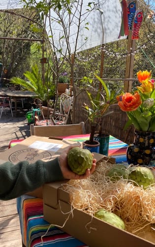 Kunde packt die Bio-Cherimoya Retterbox aus und hält eine frische Frucht in der Hand.