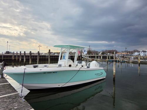 Reviewer's American Flag mounted on a boat docked in a marina under a cloudy sky.