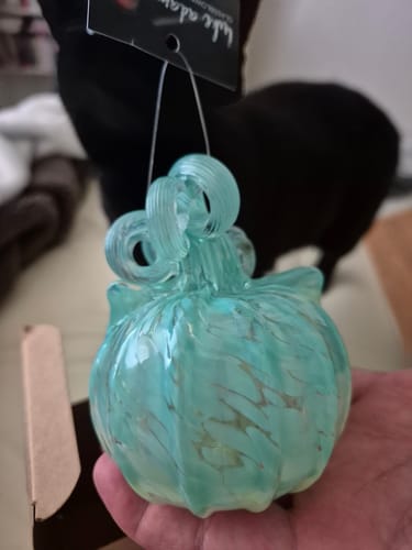 Customer photo review of Daily Catkin 149