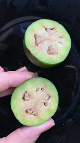 Ein Kunde hält eine aufgeschnittene, saftige Feijoa in der Hand.