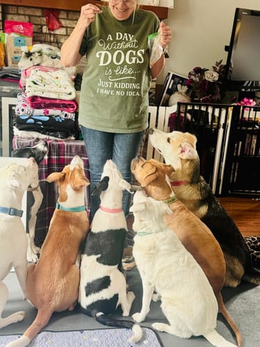 Customer photo review of A Day Without Dogs T-Shirt