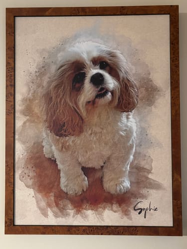 Customer's framed personalized pet portrait of their dog, Sophie, with a beautiful watercolor effect hanging on a wall.