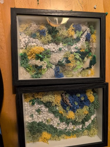 Customer's two finished crafts from the subscription box, showing framed art made with colorful moss and stones.