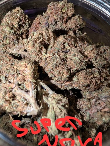 Customer photo review of Cheap THCA Flower Pound (450g)