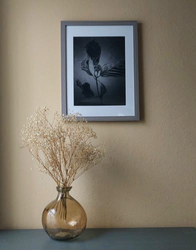 Customer photo review of 9x12 Matting Package Print