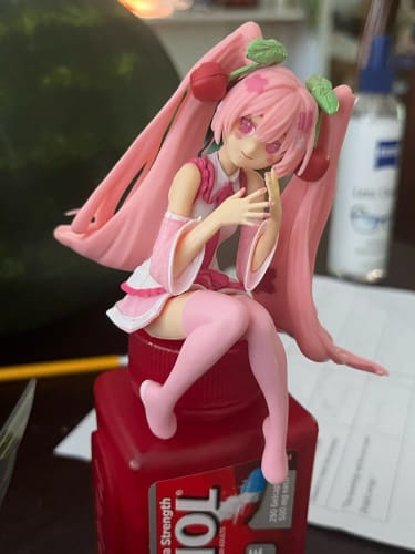 Customer photo review of Hot Hatsune Miku Anime figure Pink dress model action figures toys Cherry pink PVC cherry blossom decoration collect Model gifts