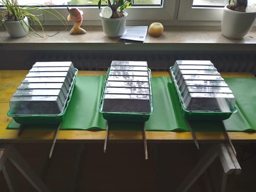 Customer photo review of Heizmatte als Anzuchtbooster für Pflanzen in 6 Größen