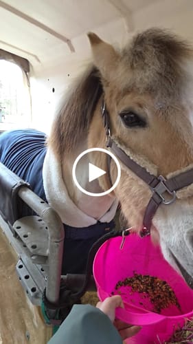 Customer video review of Strotonin Nerve Support