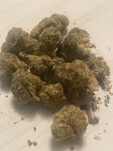 Customer photo review of Neon Nights Exotic THCa Flower 3.5g 🟢 Hybrid