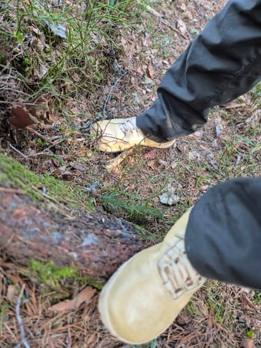 Arvostelijan vaaleat Vaistoa Uoma 2 -kengät jalassa metsäisessä maastossa ylhäältä kuvattuna.